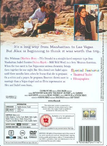 Fools Rush In (DVD)