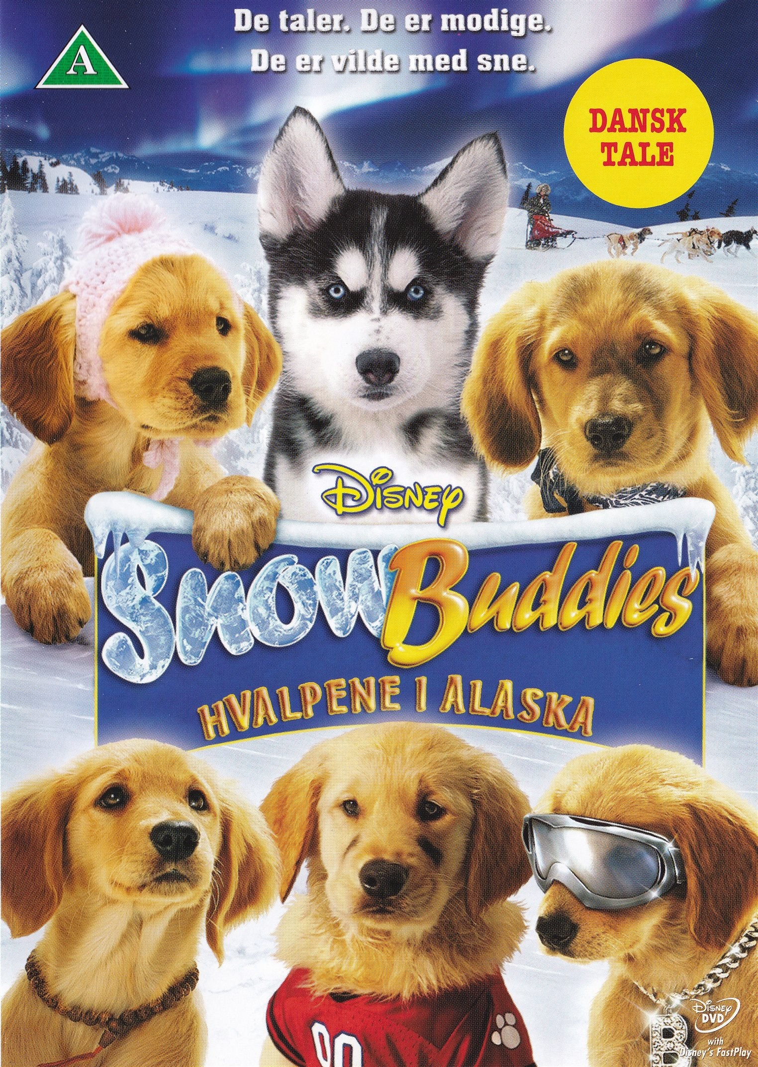 Snow Buddies: Hvalpene i Alaska (DVD)