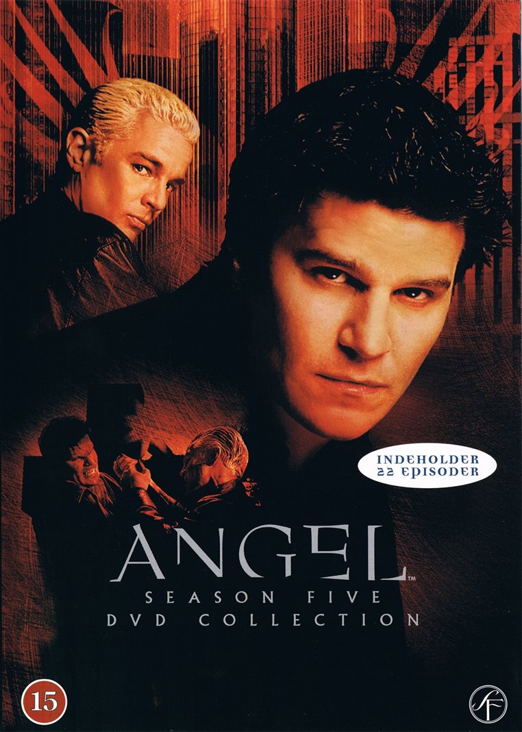 Angel: Season Five DVD Collection (DVD)