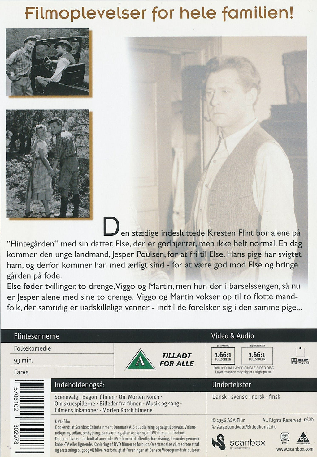 Flintesønnerne (DVD)