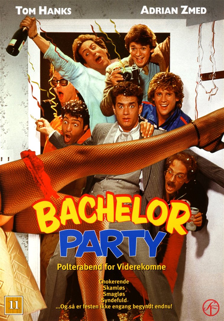 Bachelor Party: Polterabend for Viderekomne (DVD)