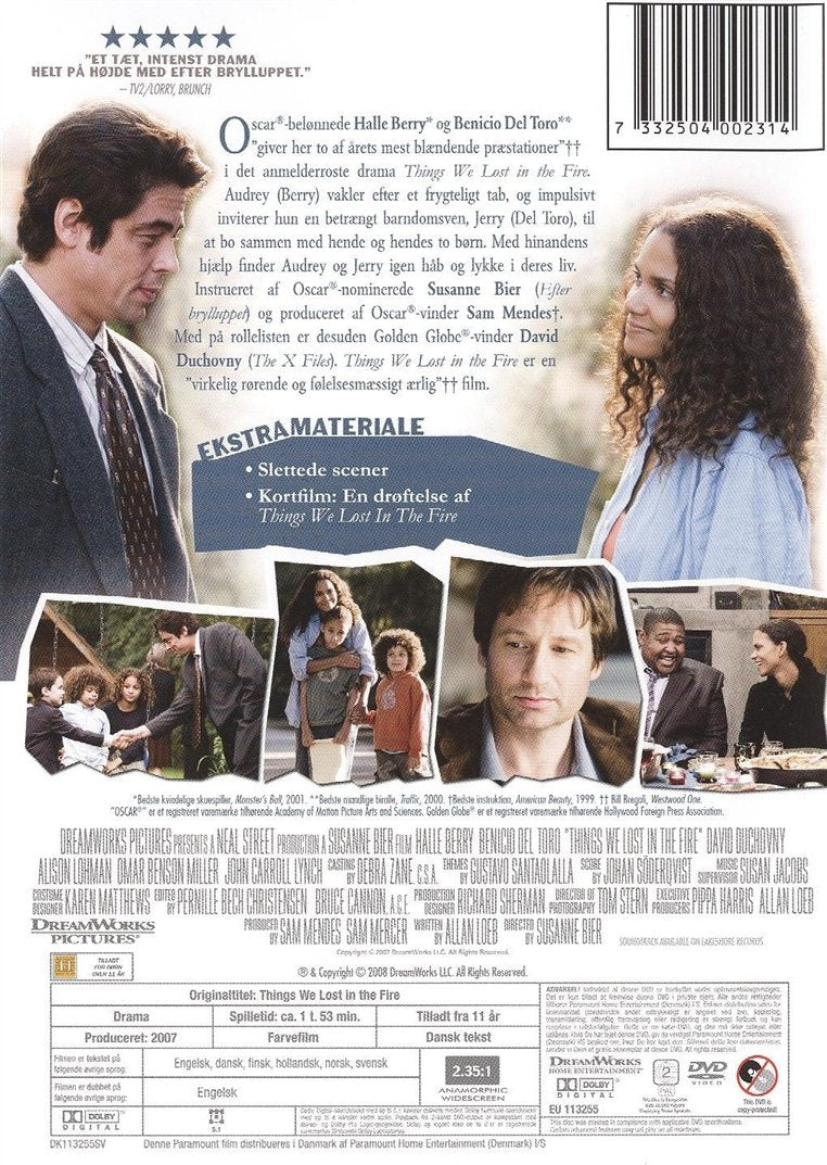 Things We Lost in the Fire (DVD)
