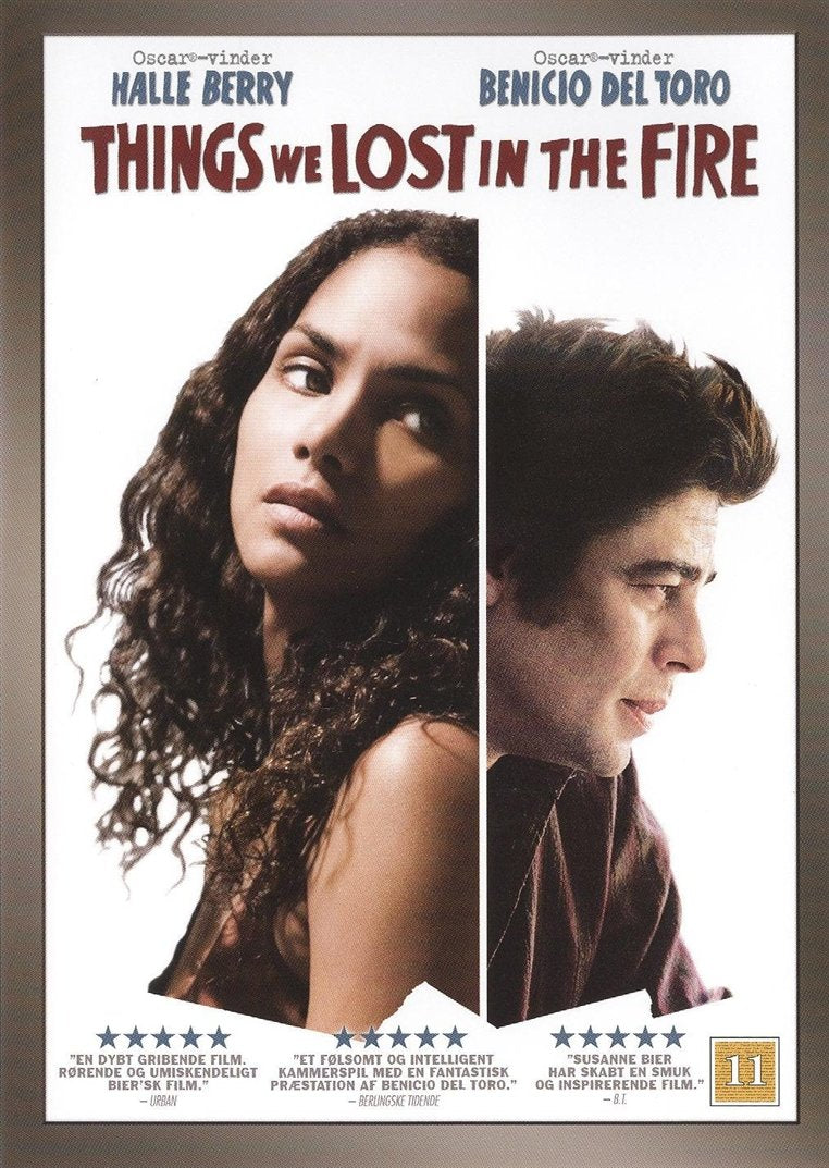Things We Lost in the Fire (DVD)