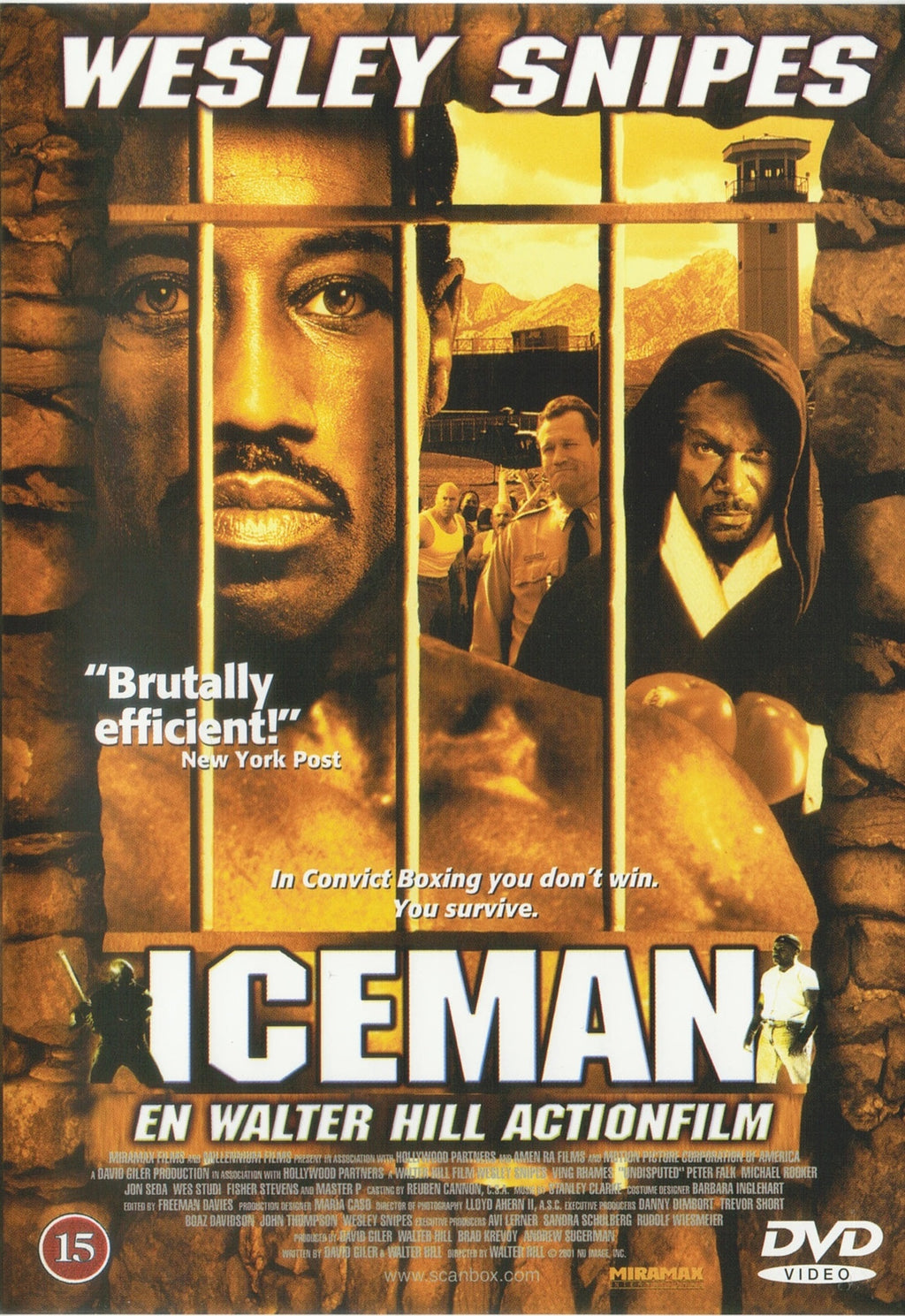 Iceman (DVD)