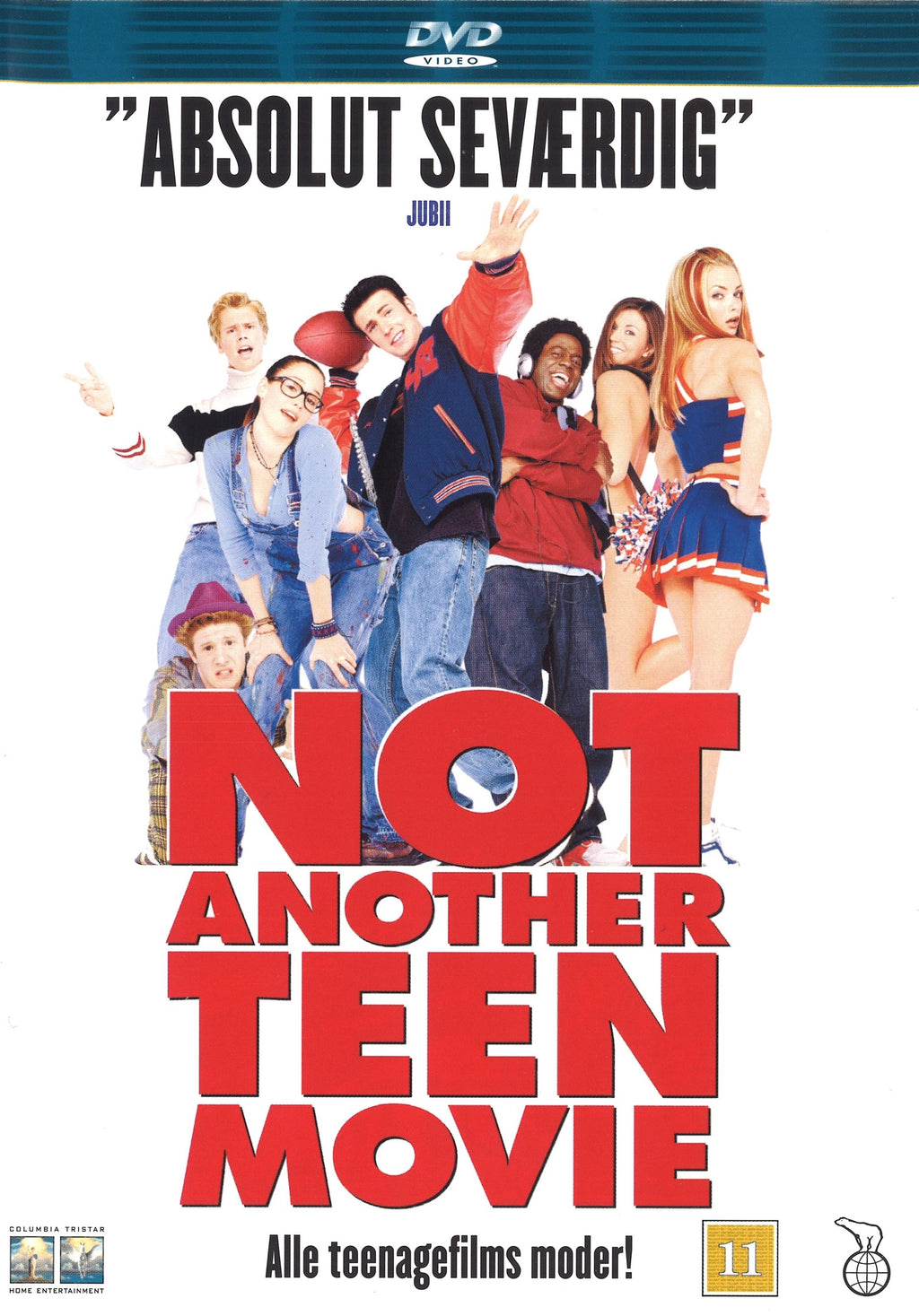 Not Another Teen Movie (DVD)