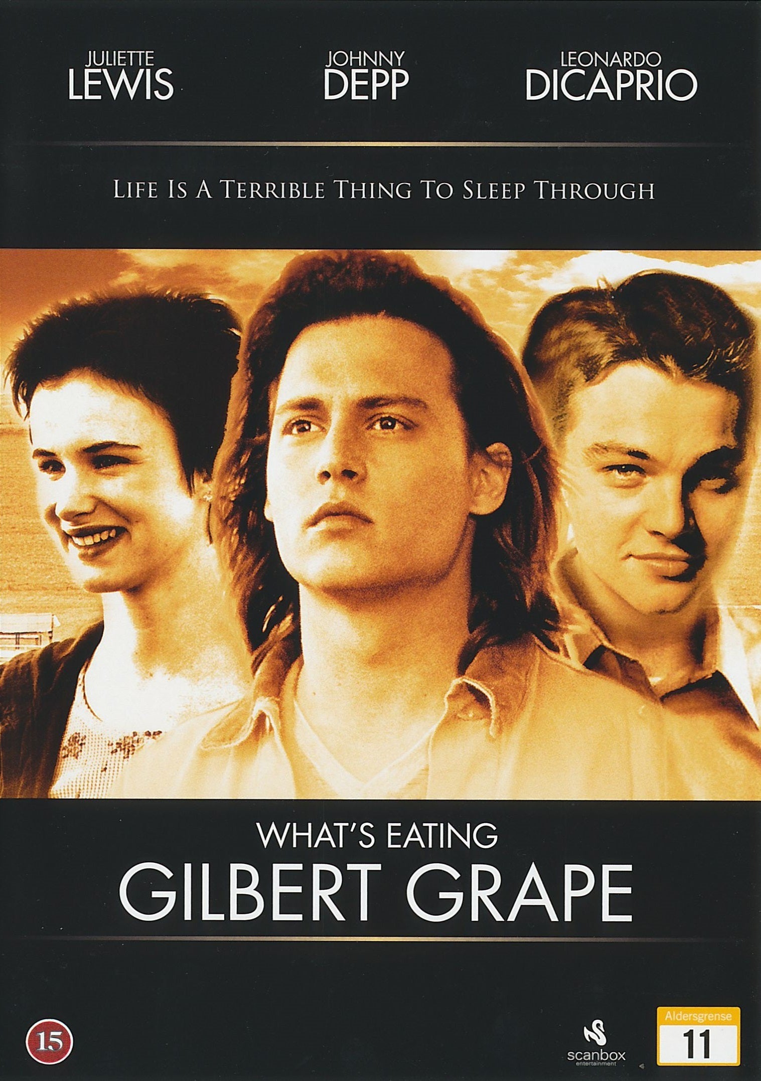 What's Eating Gilbert Grape (DVD)