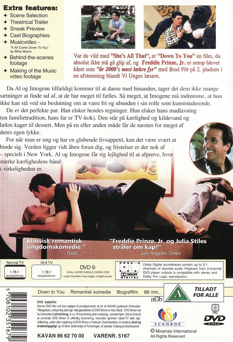 Down to You (DVD)
