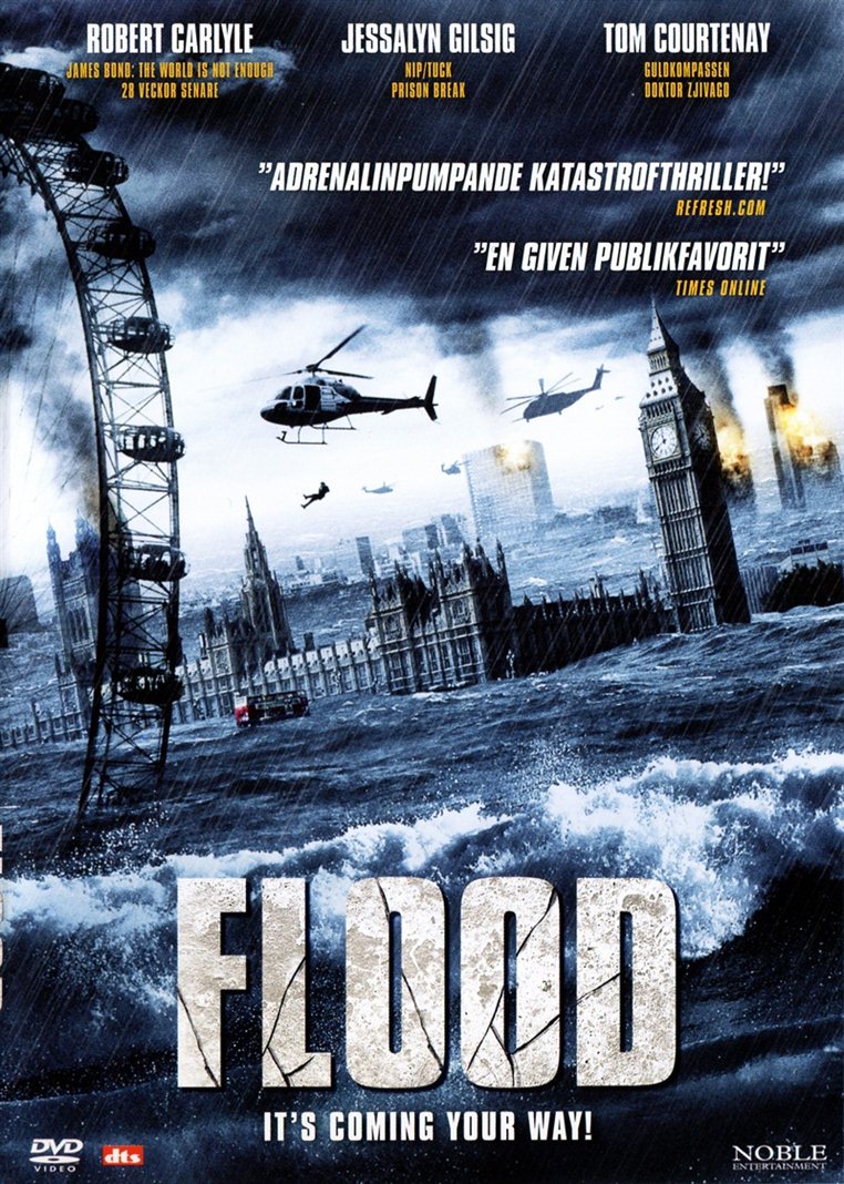 Flood (DVD)