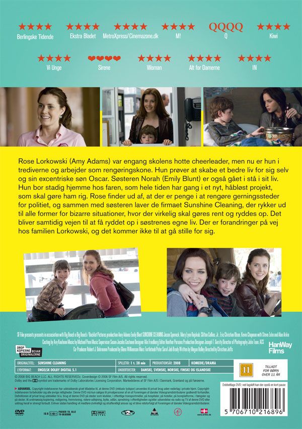 Sunshine Cleaning (DVD)
