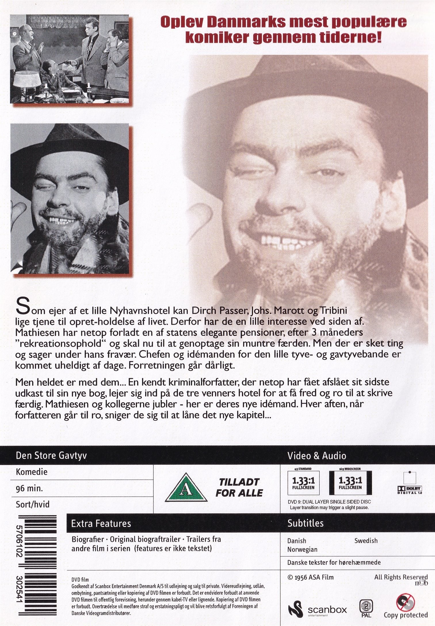 Den store gavtyv (DVD)