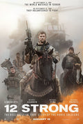 12 Strong (DVD)