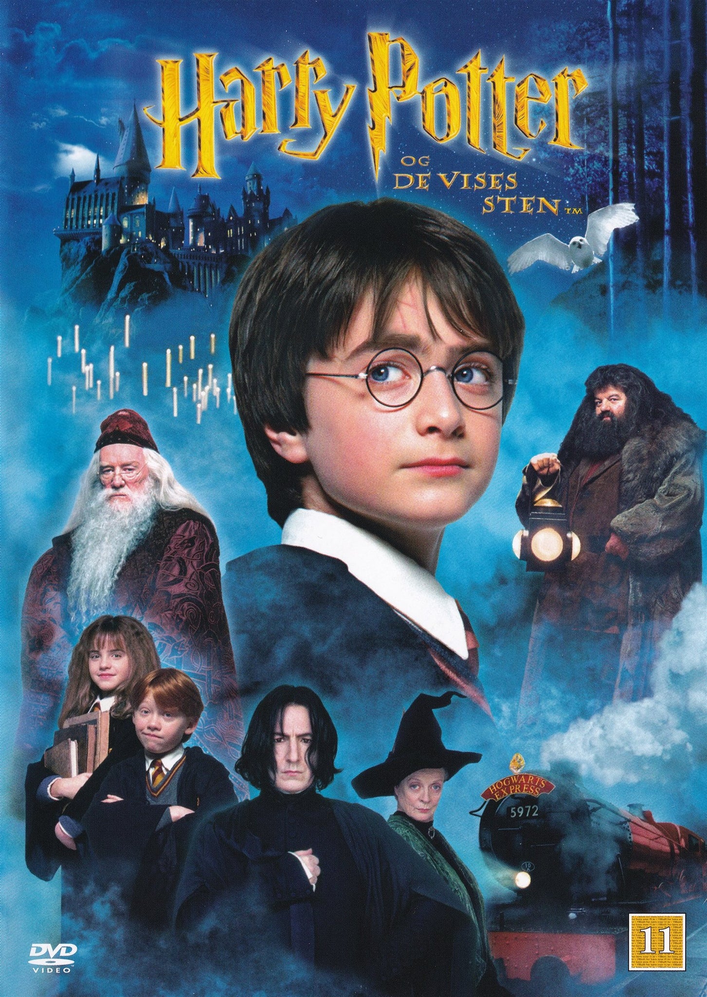 Harry Potter og De Vises Sten (DVD)