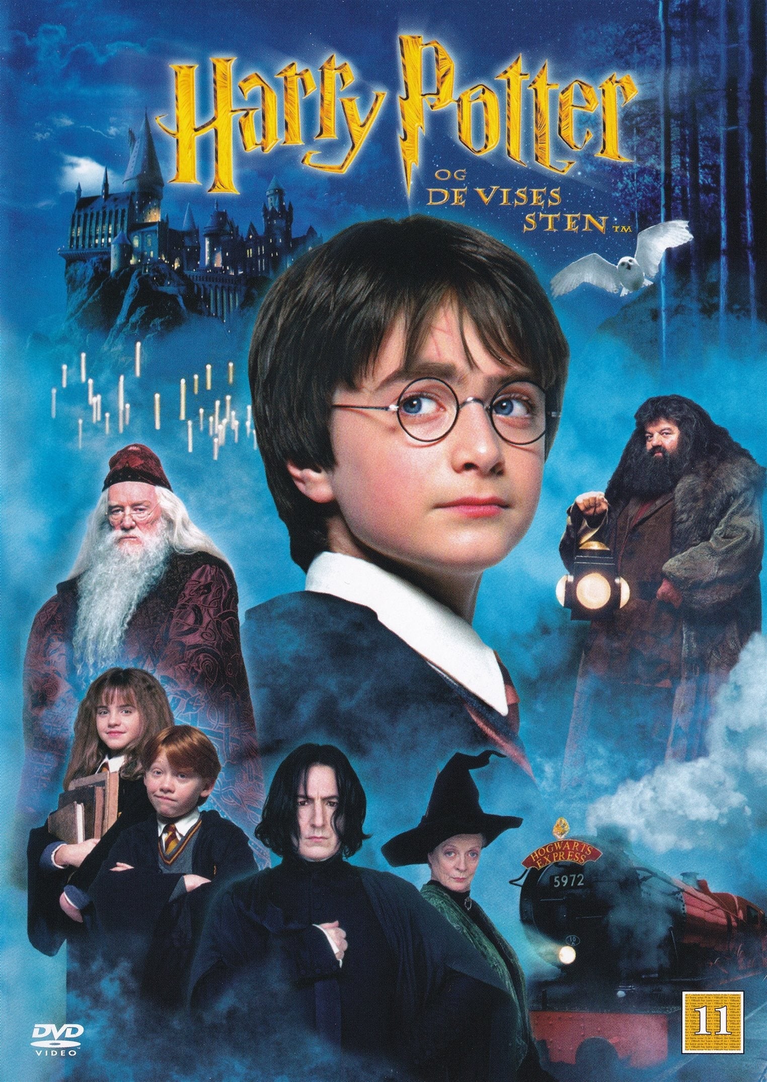 Harry Potter og De Vises Sten (DVD)