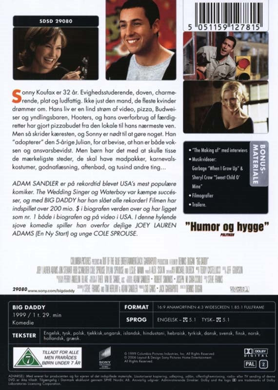 Big Daddy (DVD)