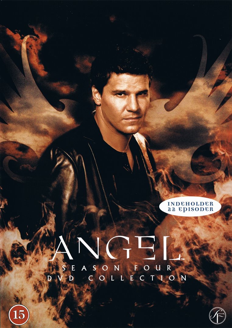 Angel: Season Four DVD Collection (DVD)