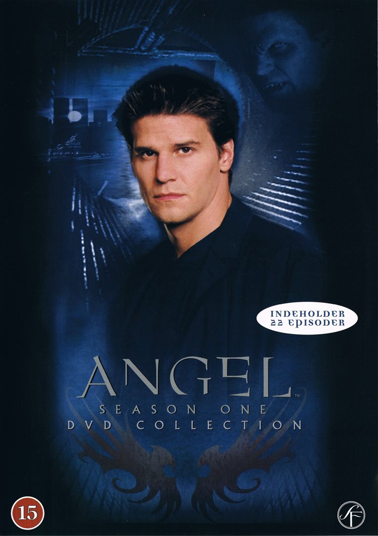 Angel: Season One DVD Collection (DVD)
