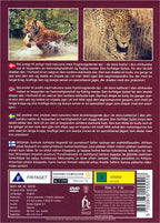 Wild Cats (DVD)