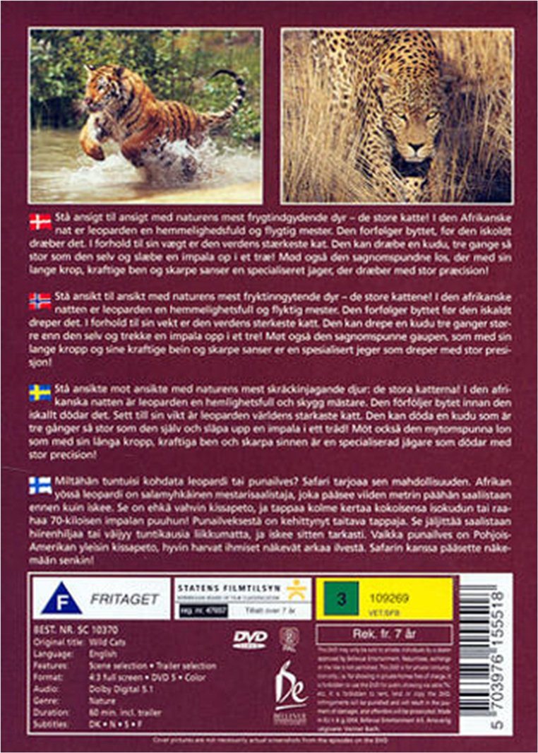 Wild Cats (DVD)