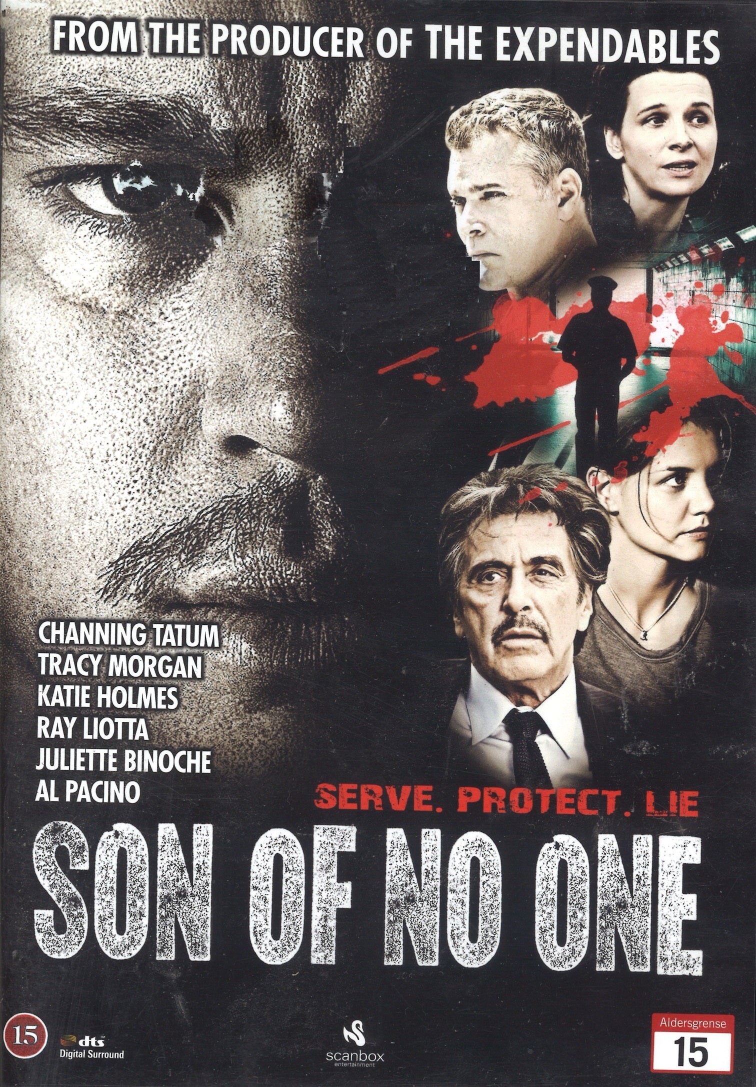 Son of No One (DVD)