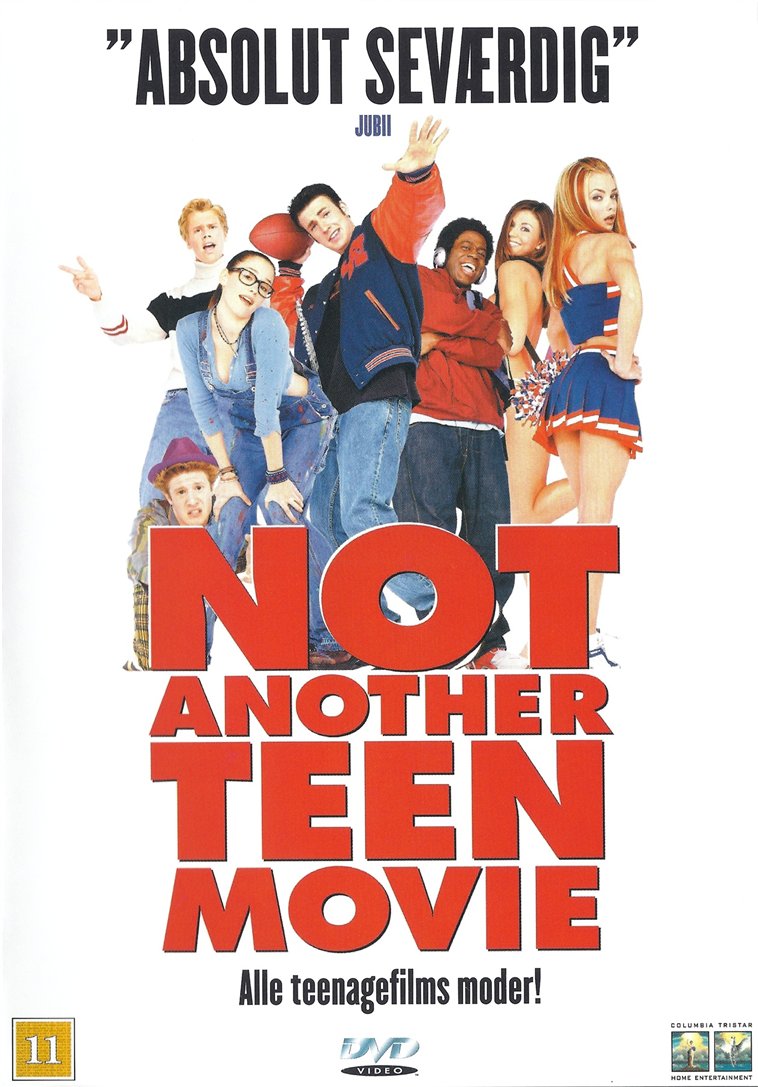 Not Another Teen Movie (DVD)