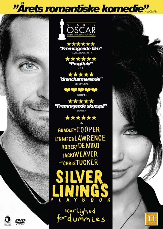 Silver Linings Playbook (DVD)