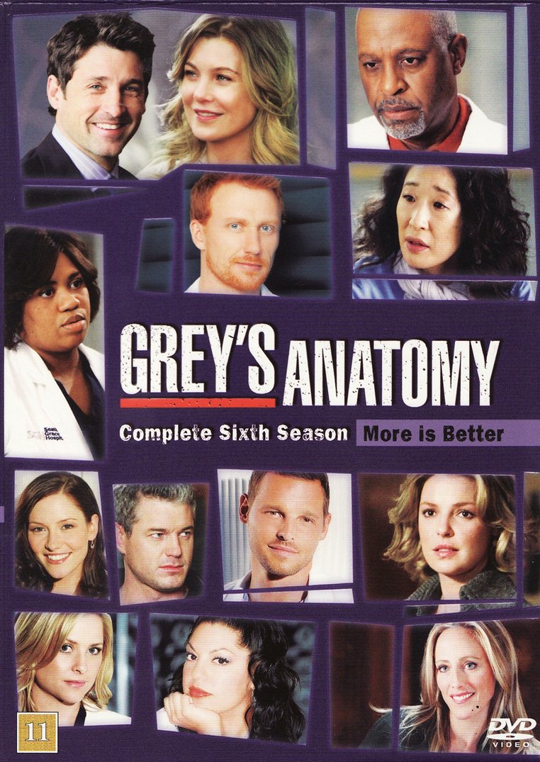 Greys hvide verden sæson 6 (DVD)