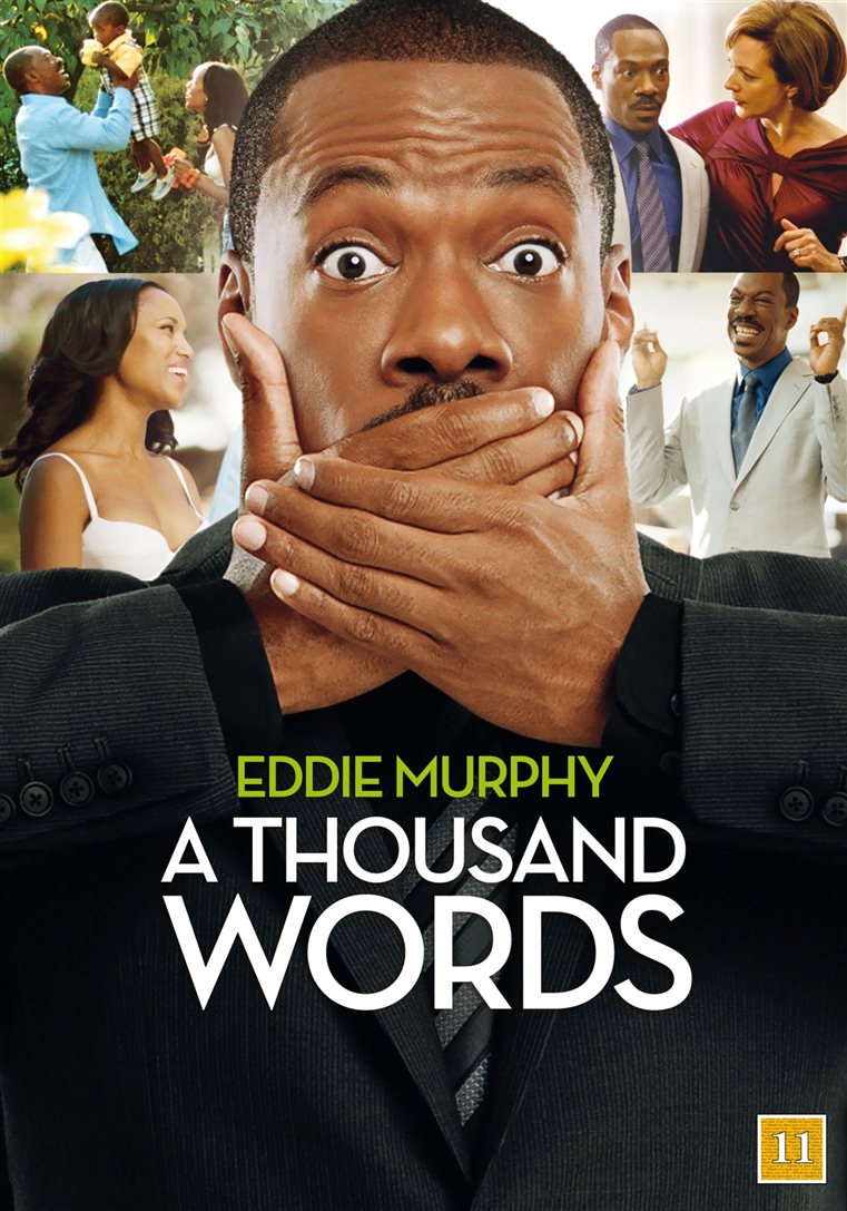A Thousand Words (DVD)