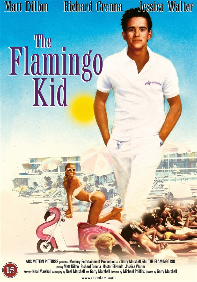 The Flamingo Kid (DVD)