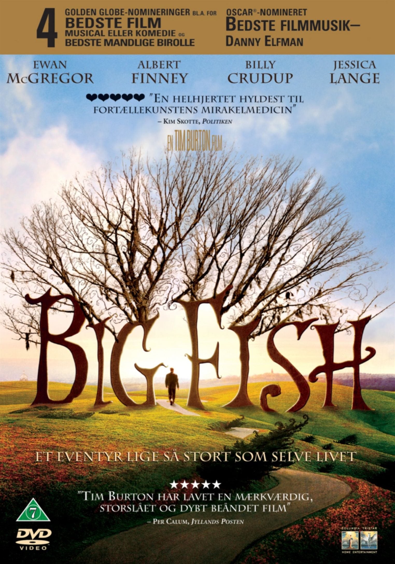 Big Fish (DVD)